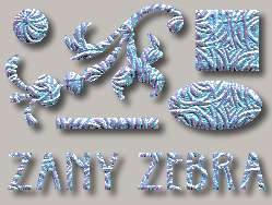 Zany Zebra