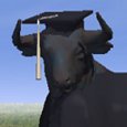 Scholar Bull
